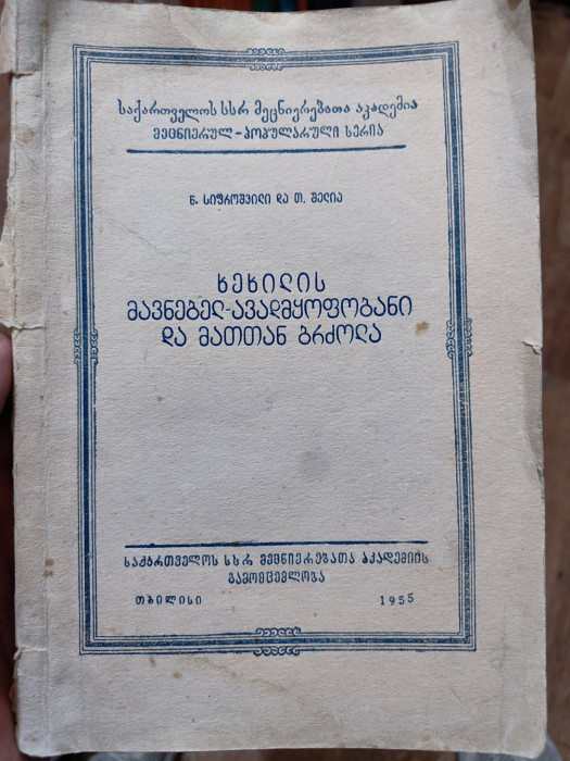 სურათი