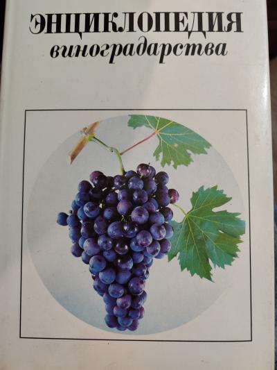 სურათი